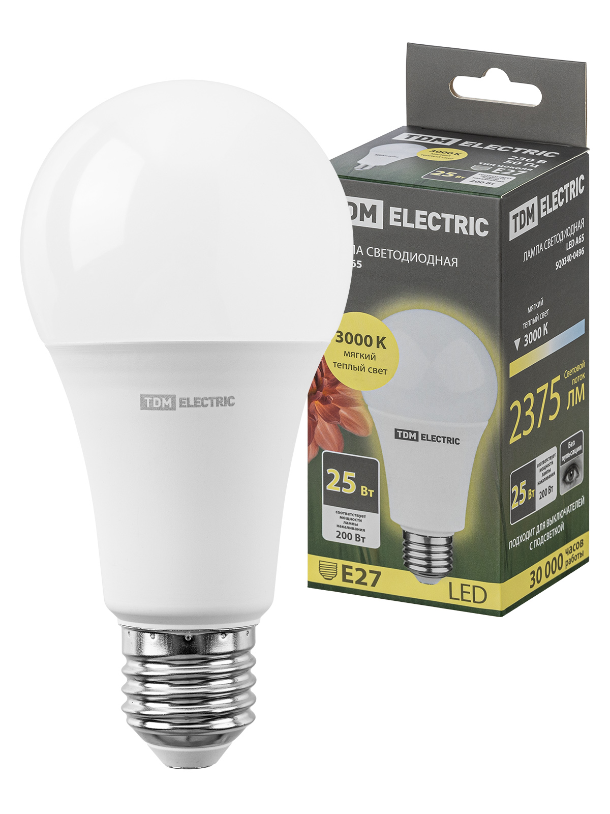 Lampa LED A65 25 W, 230 V, 3000 K, E27 TDM