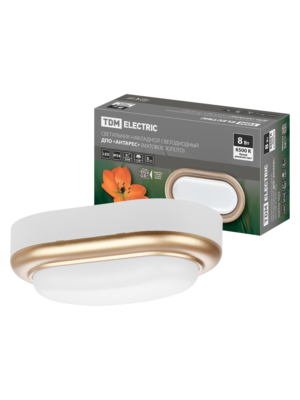 Lumină LED încorporabilă DPO "Antares" 8W 6500K oval 168*100*58 mm mat.auru IP54 TDM