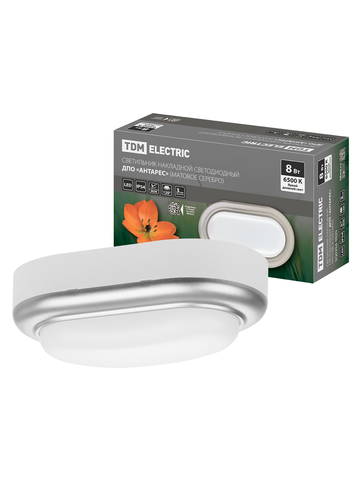 Lumină LED încorporabilă DPO "Antares" 8W 6500K oval 168*100*58 mm mat.argint IP54 TDM