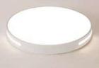 Светильник светодиодный 72W 185-265V Double Color 500mm(TR0329-1924)