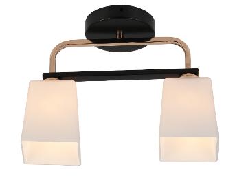 Lustru cu 2 becuri E27*2*40W L320*W100*H230 Negru/Gold (TR0370-0324)