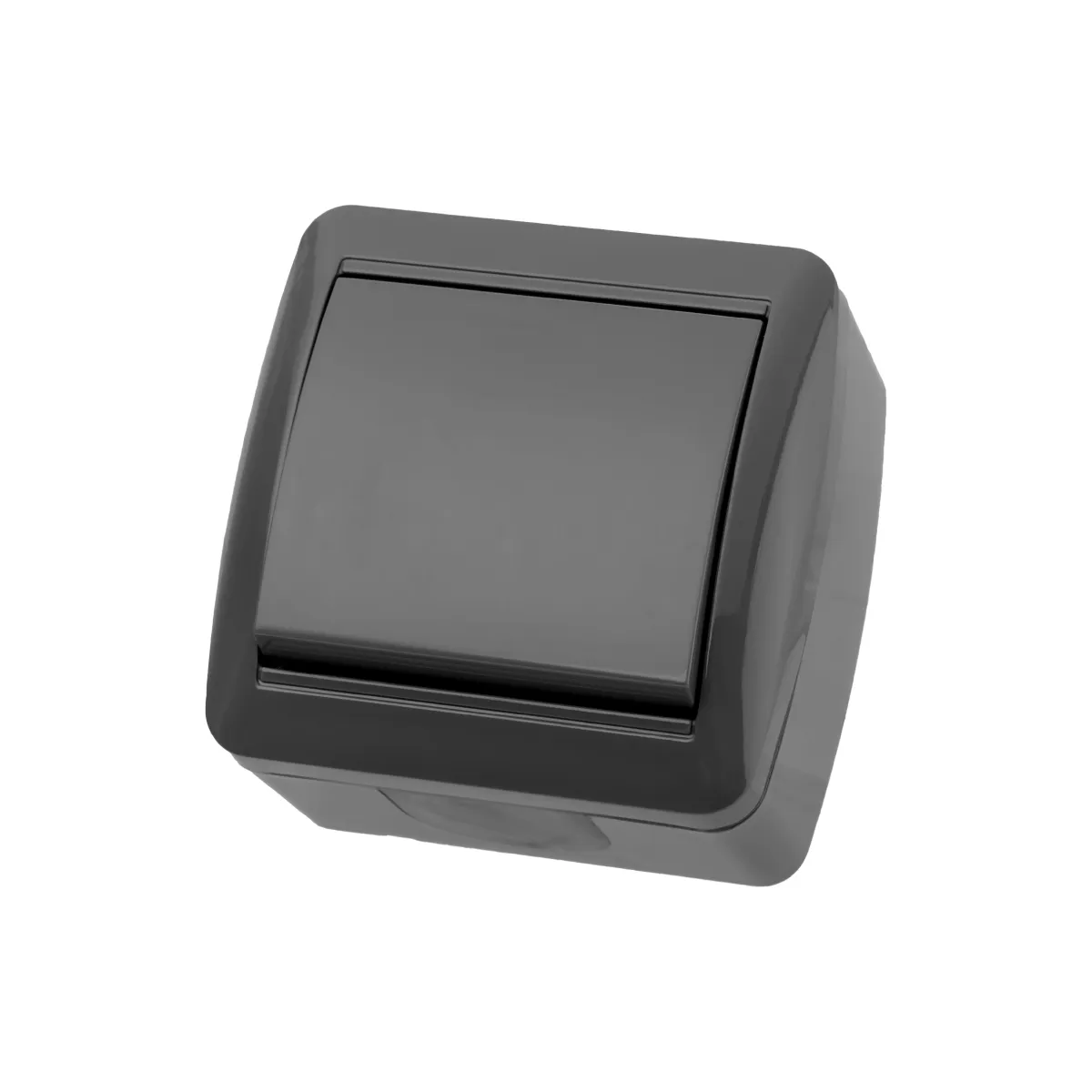 Выключатель 1-кл. открытой установки IP44 10А серый "Селигер" TDM(SQ1818-0101)