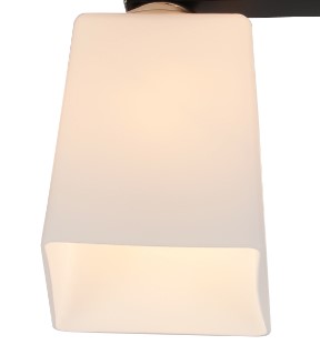 Plăfon pentru luminiere (TR0370-0324,TR0370-0325)
